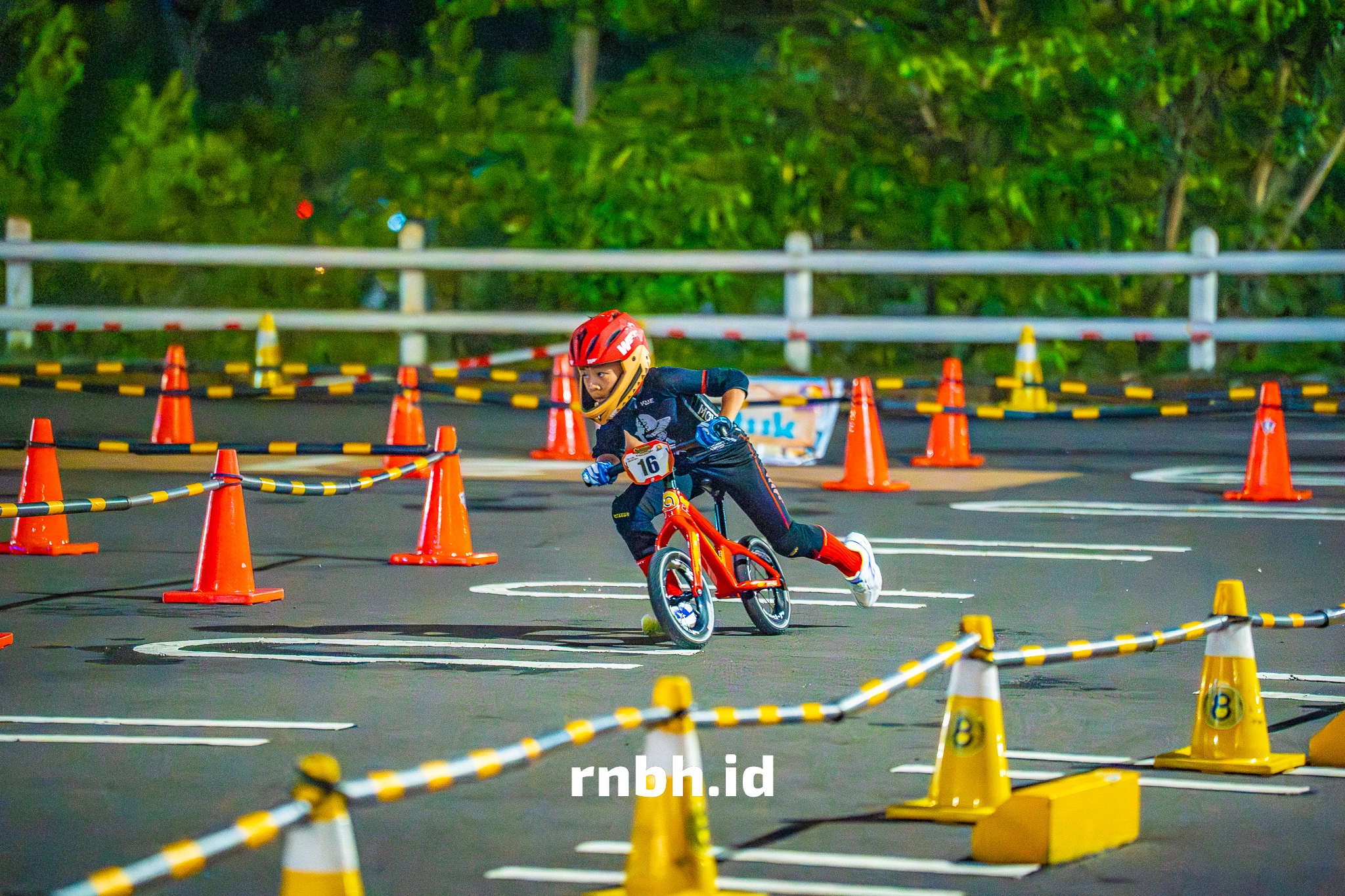 NSF00107.jpg